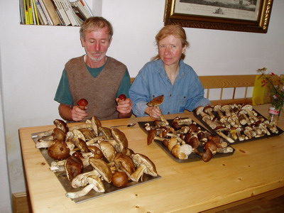 Drbárna &ndash; Úlovky