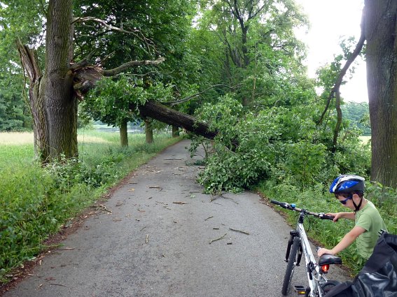Polámané stromy u Hamru směrem na Nitovice.