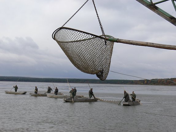 Podzimní výlovy 2012 rybníků na Třeboňsku